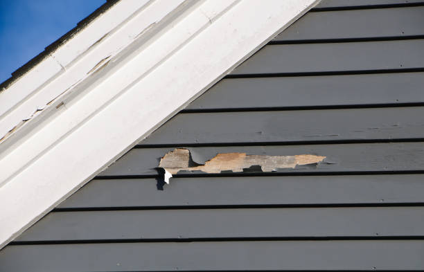 Best Shed Removal  in Cooperstown, NY